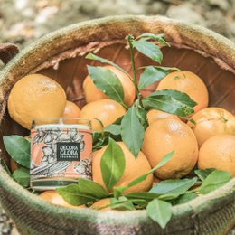 Scented candle | Citrus and floral fragrance of orange blossom fields | Siesta en los Naranjos | 220gr