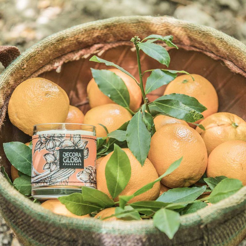 Candela profumata | Fragranza agrumata e floreale di campi di fiori d'arancio | Siesta en los Naranjos | 220gr