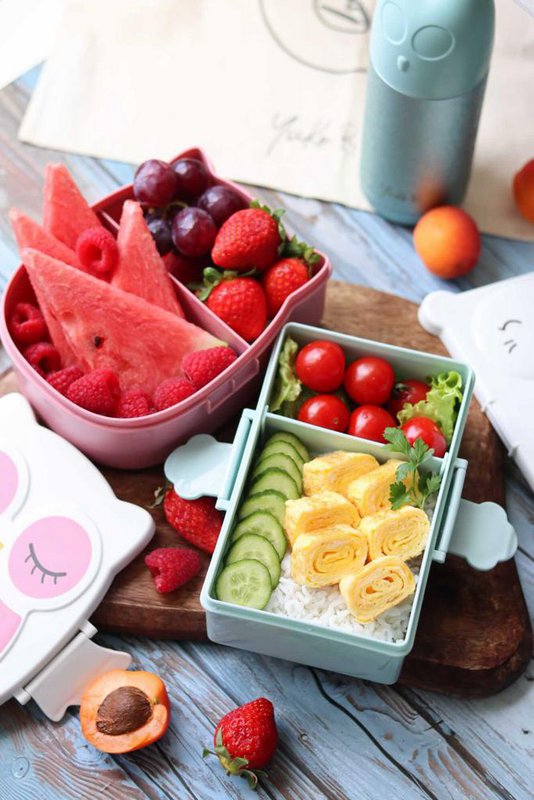 Airtight & BPA-free Lunchbox snack box - Cat Mint