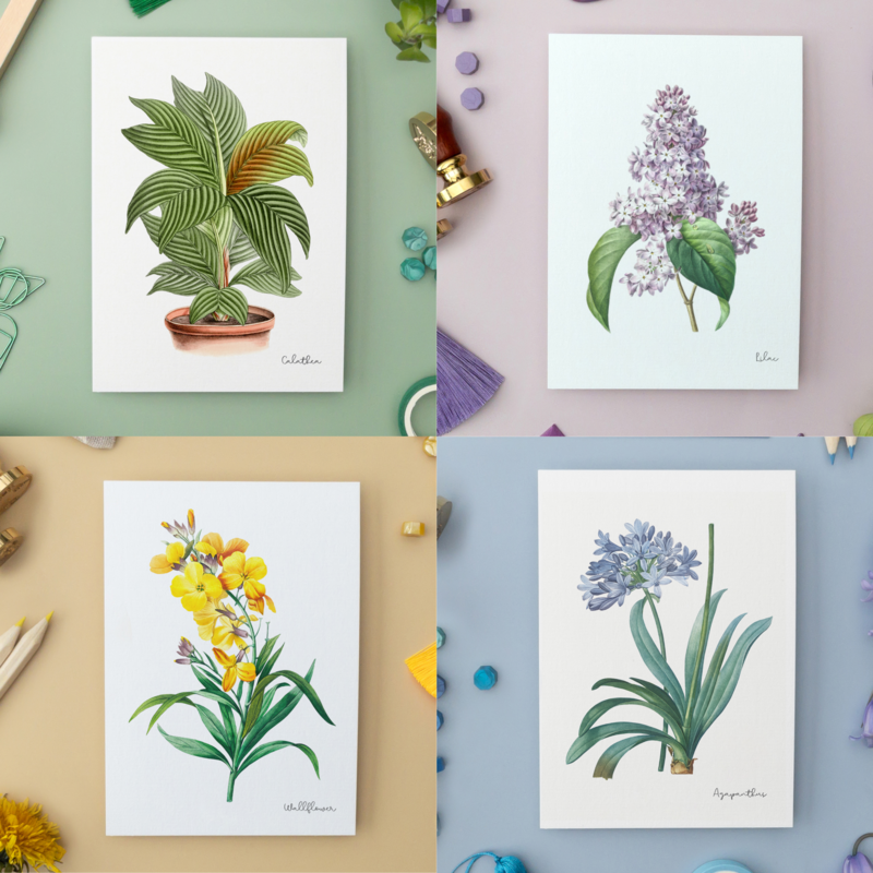 Pack Todos los Colores - Postales Hechas A Mano A6 con Sobre - Botanical Vintage