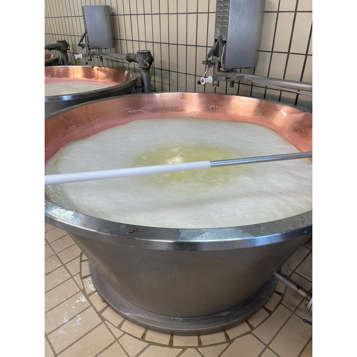 Parmigiano Reggiano DOP - 24 meses de crianza precio/ud