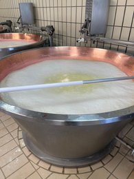 Parmigiano Reggiano DOP - 24 meses de crianza precio/ud