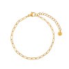 Anklet basic links