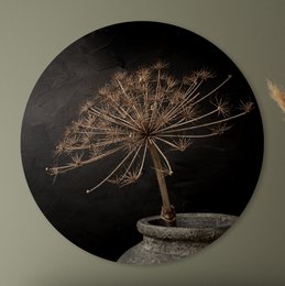 Wall Circle - Hogweed - Premium Dibond kvalitet
