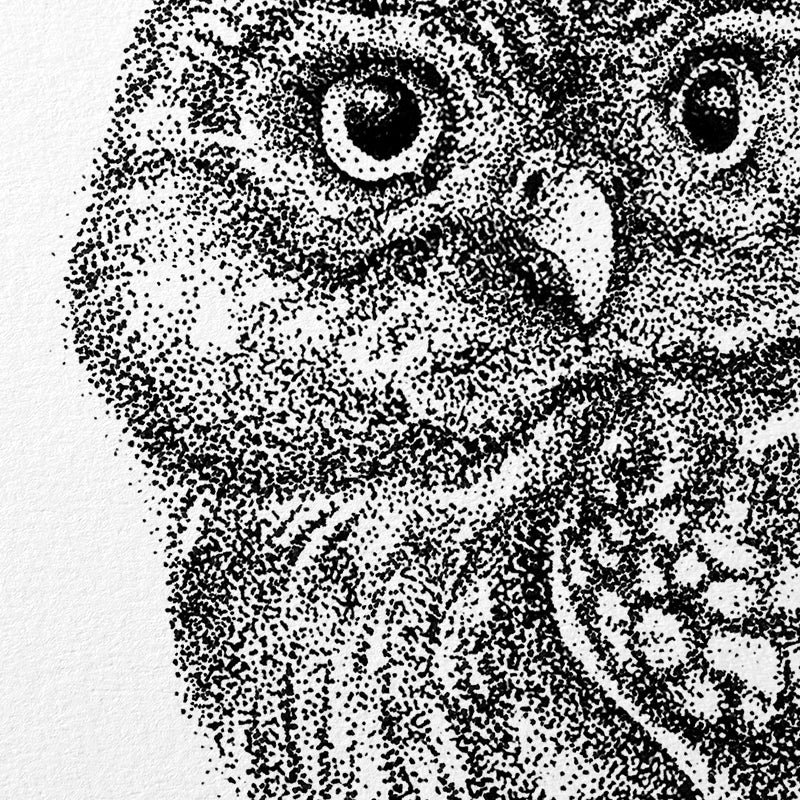Lille ugle wallsticker