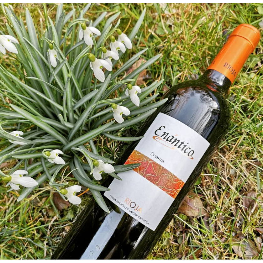Crianza red wine D.O.Ca. Rioja Enantico