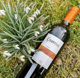 Crianza red wine D.O.Ca. Rioja Enantico