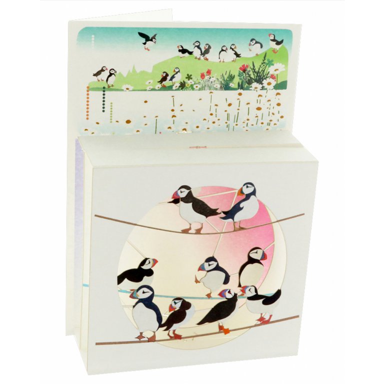 Forever Cards Magic Box Wenskaart - Puffins