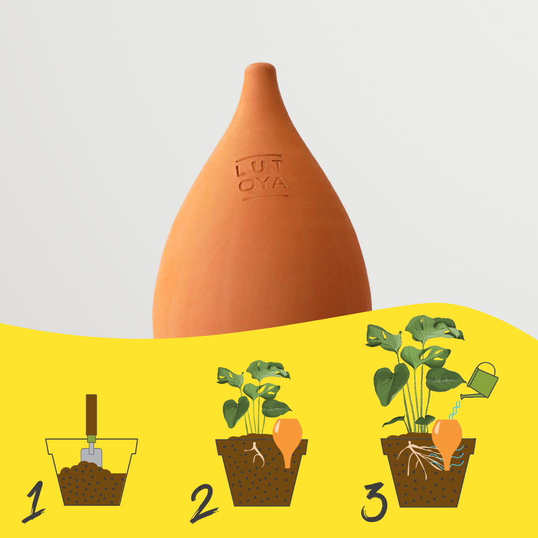 Olla self watering pot - Lutoya Medium Original  - 35 cl