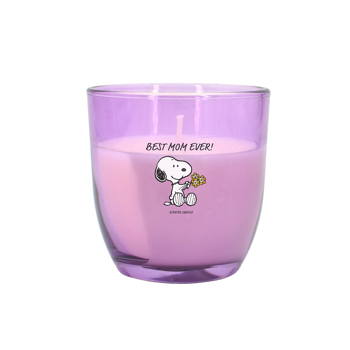 Thekendisplay Peanuts 25 x 100g - 5 x Best Dog Mom, 5 x Best Mom ever, 5 x Good Luck, 5 x You're my superhero, 5 x Thank you