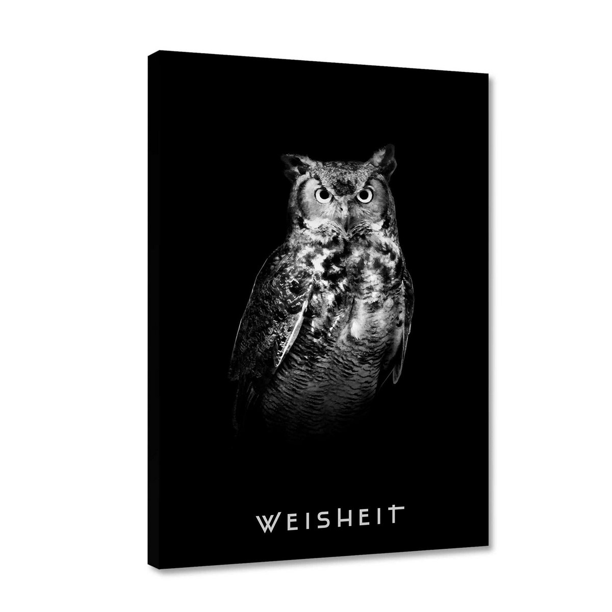 Wisdom - plexiglass picture