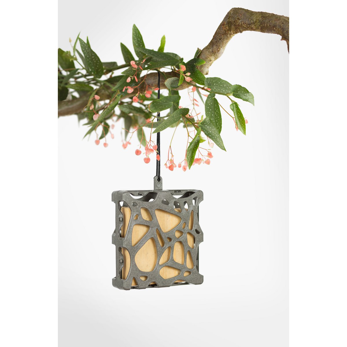 Giftbox recycled plastic bird feeder Sam/Anna+ food