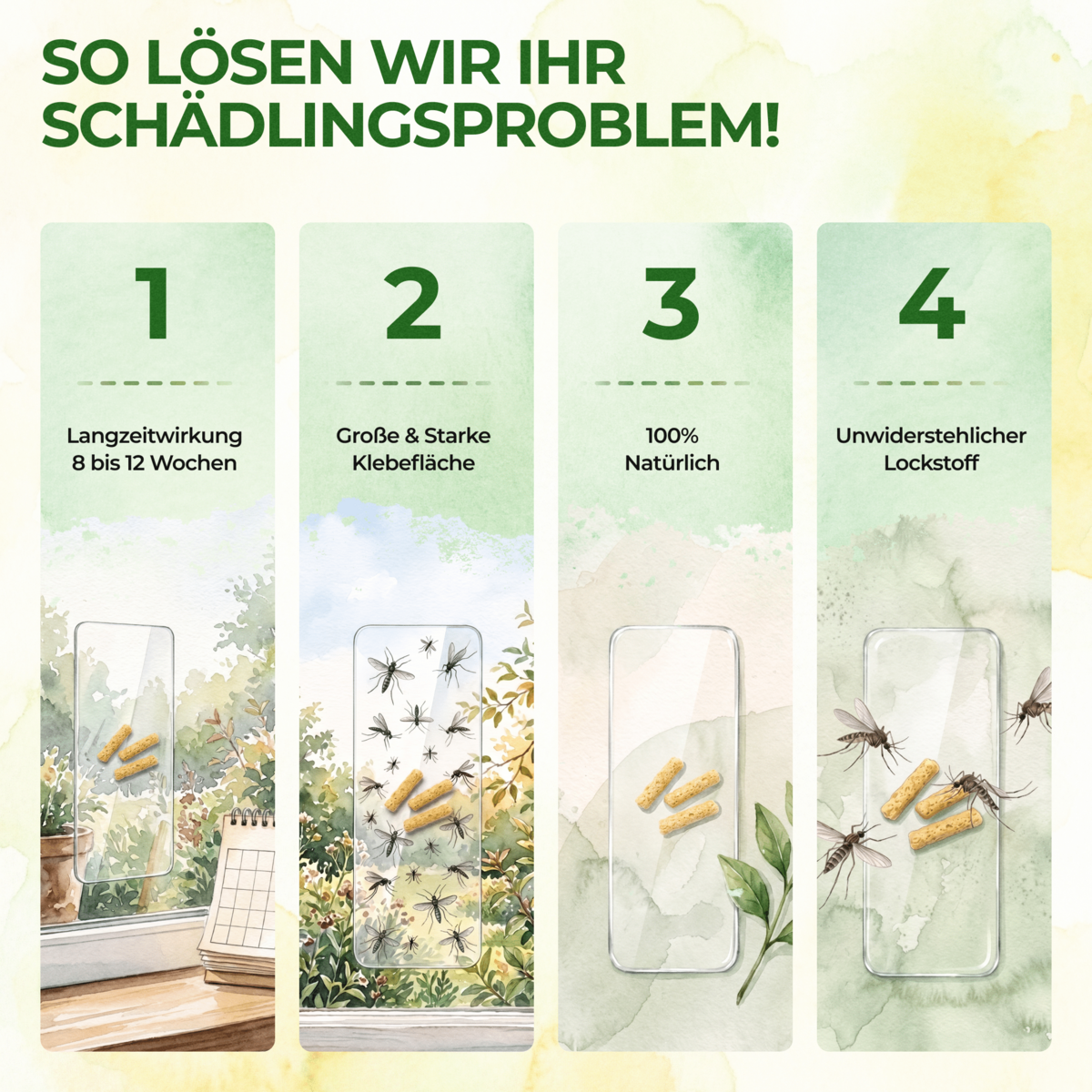 Fungus gnats window trap