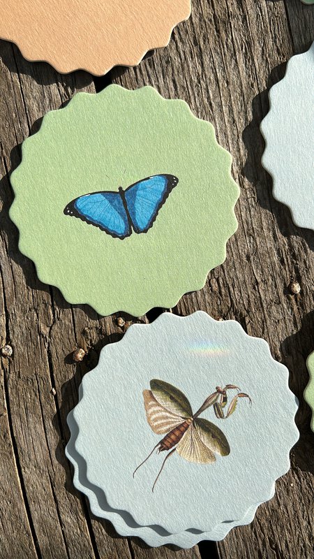 Coasters 10 motiver insekter - 12 sæt