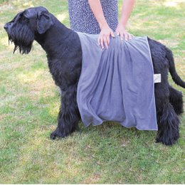 Dog towels