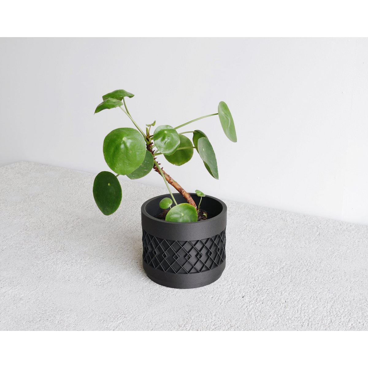 Black M - 8,5 cm diameter