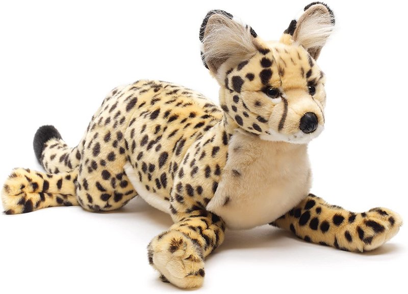 Savannah cat, lying - 60 cm (length)