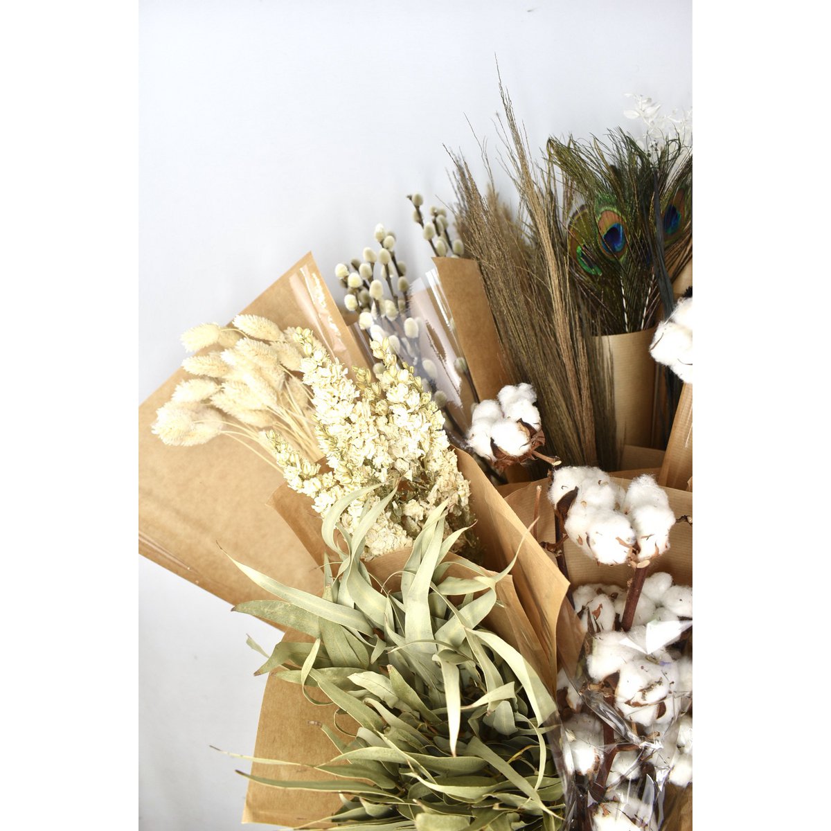 Mix dried flowers - black / white - 15 varieties
