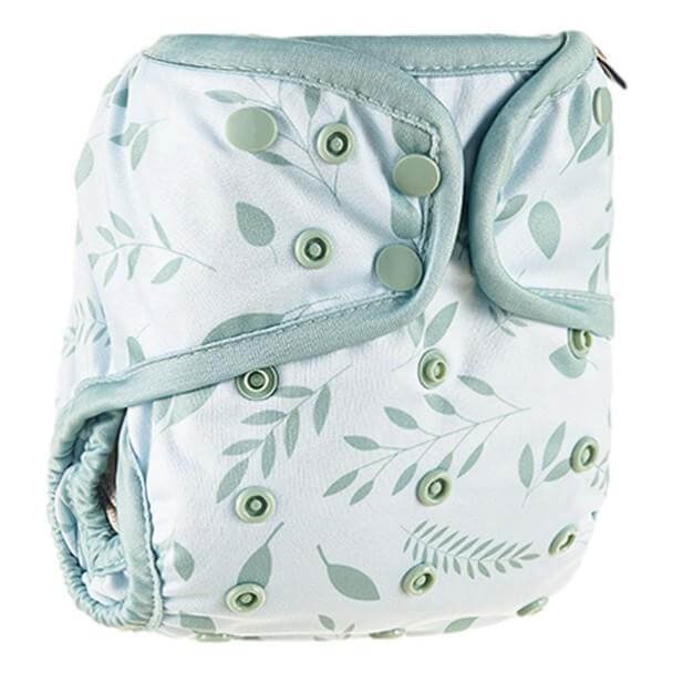 Windelhose | Botanisch