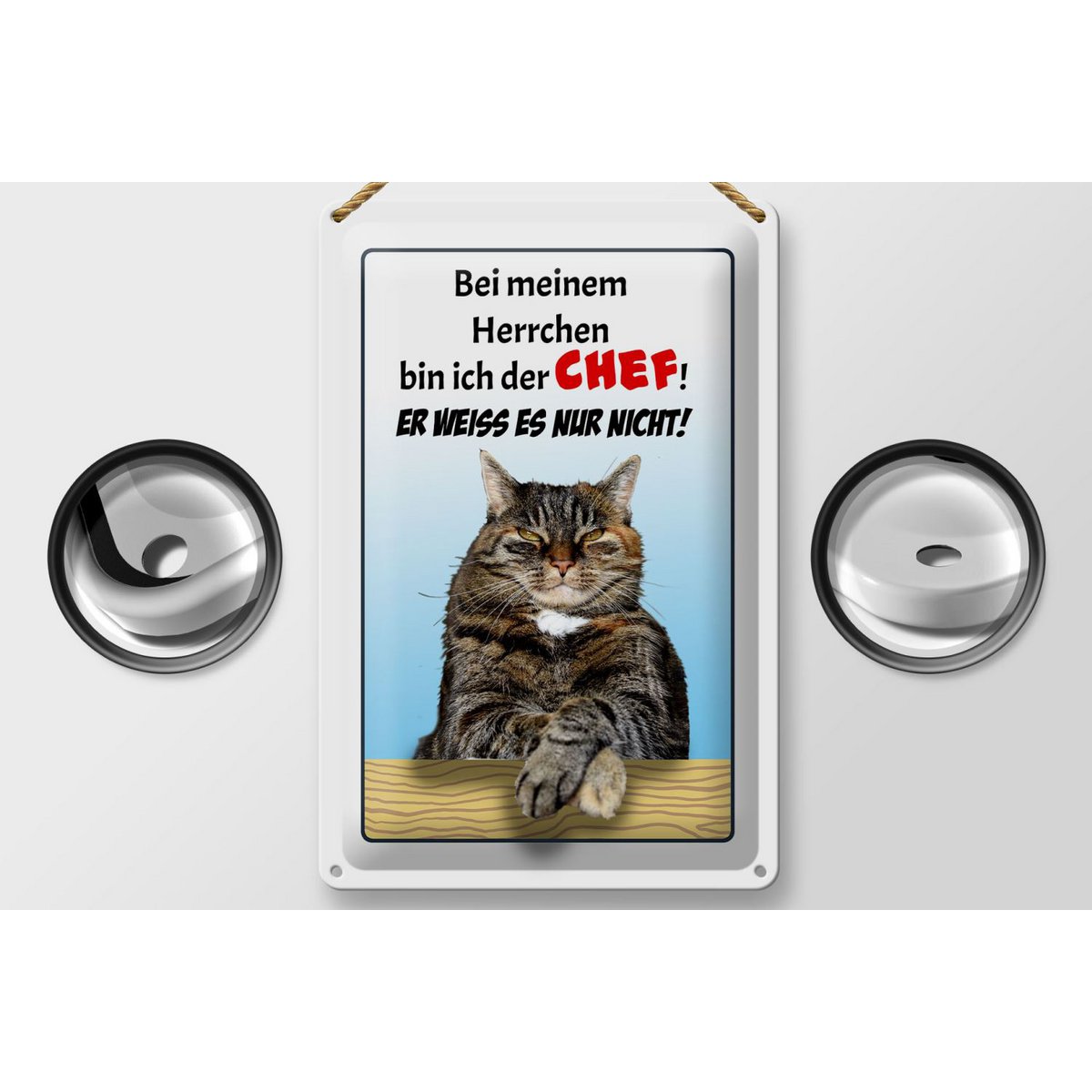 Blikken bord met de tekst 20x30cm kat met mijn meesterbaas