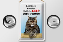 Blikskilt, hvor der står 20x30 cm kat med min herrechef