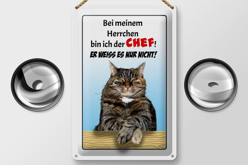 Tin sign saying 20x30cm cat with my master boss