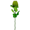Artificial flower Banksia 59 cm green
