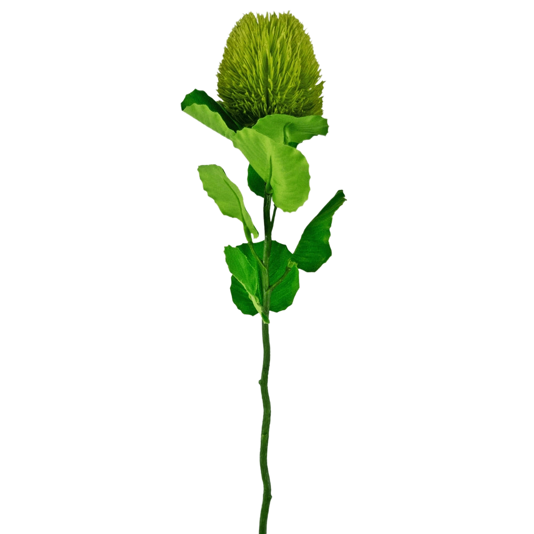 Kunstbloem Banksia 59 cm groen