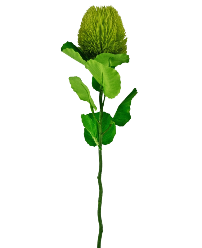 Kunstbloem Banksia 59 cm groen