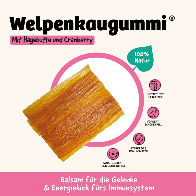 Dog Snack Puppy Gum 60G X 15