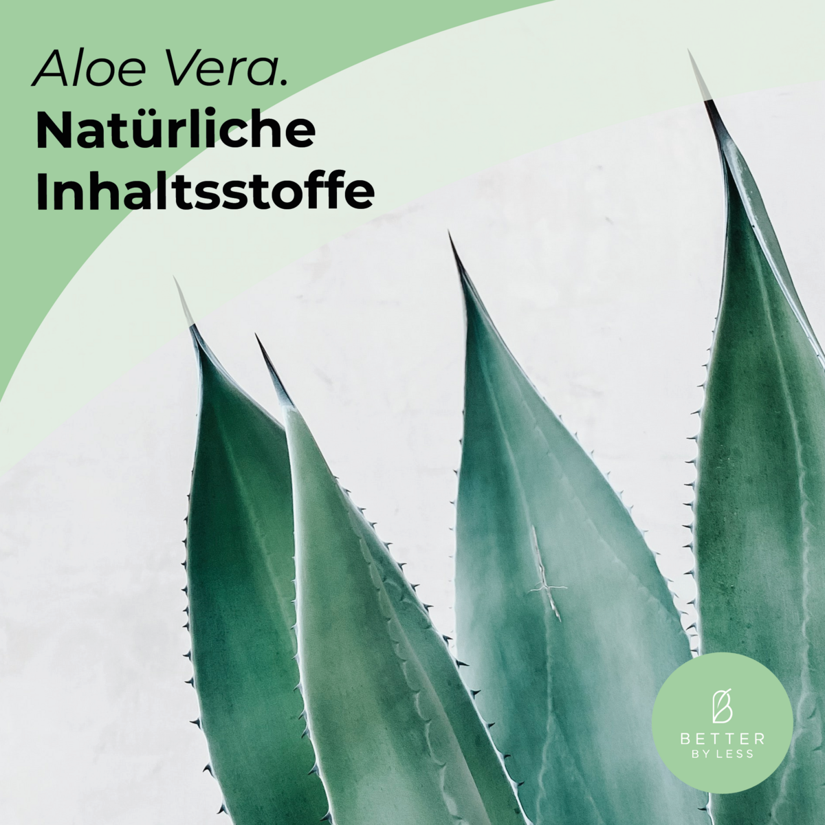 Handseife - Starter Set - Aloe-Vera Glasflasche /Silber Pumpkopf