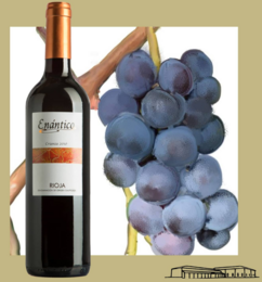 Crianza red wine D.O.Ca. Rioja Enantico