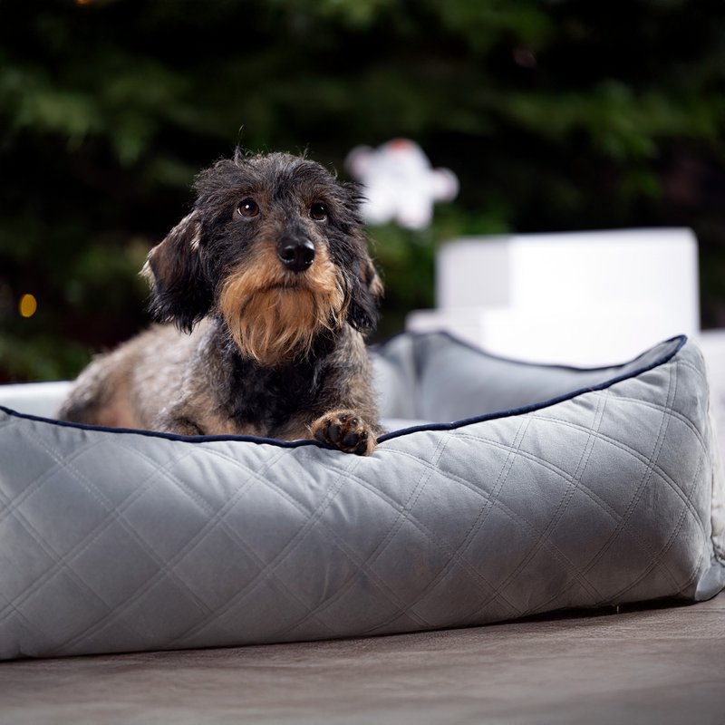 OXFORD I CLASSIC HUNDEBETT