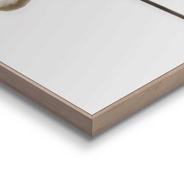 Painting Slim Frame Cotton Branch 30x20