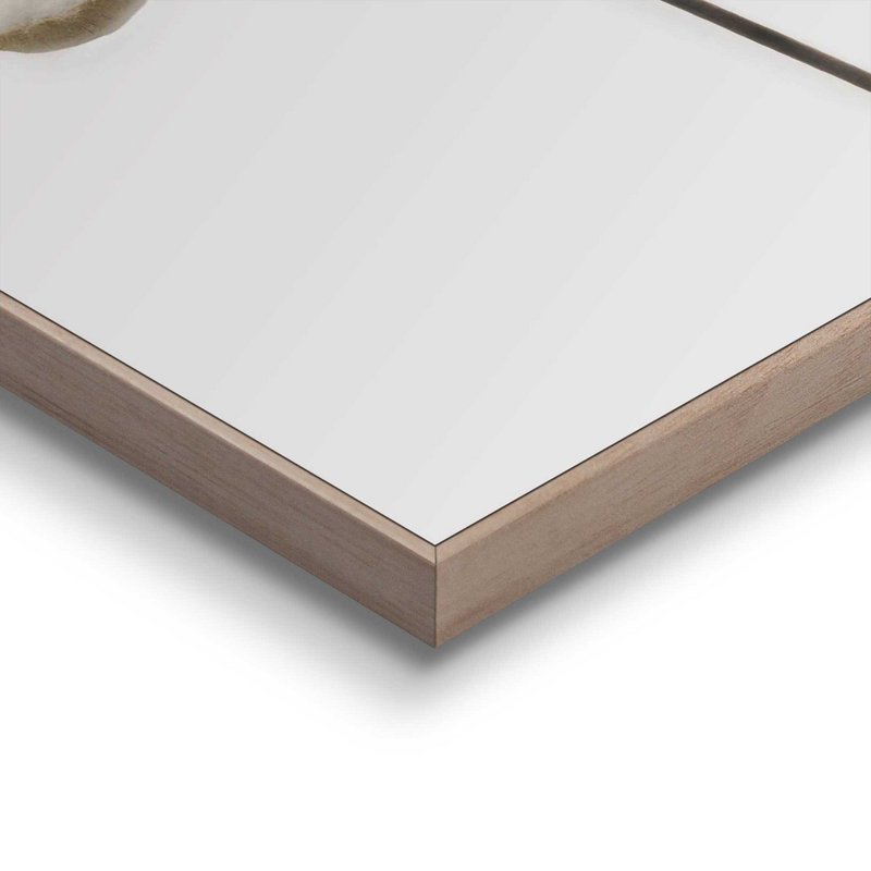 Painting Slim Frame Cotton Branch 30x20