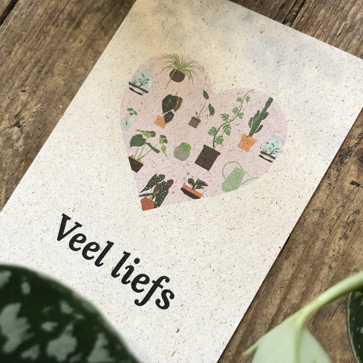 Postcard + Envelope Veel liefs!