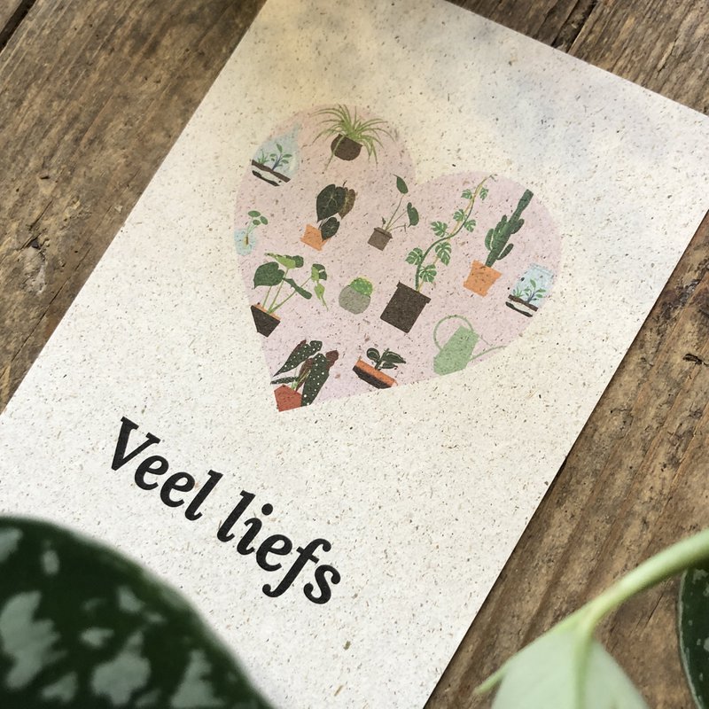 Postkarte + Umschlag Veel liefs!