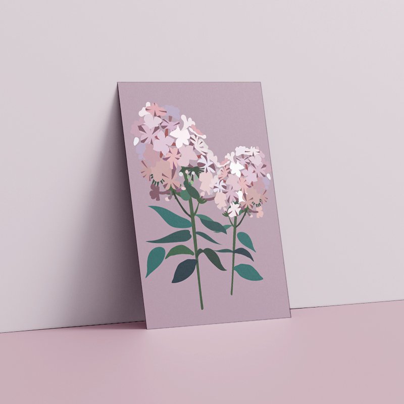 Floral Postcard - Phlox