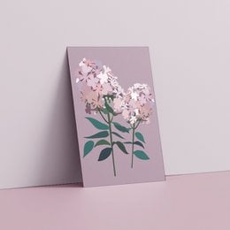 Floral postcard featuring pink phlox flowers with green leaves on a lavender background.