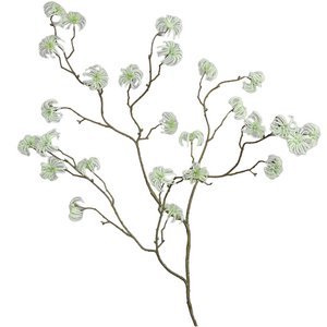 Clematis fruitkoptak Cleo, L116cm, crème