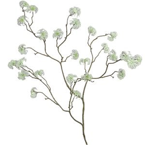 Clematis fruitkoptak Cleo, L116cm, crème