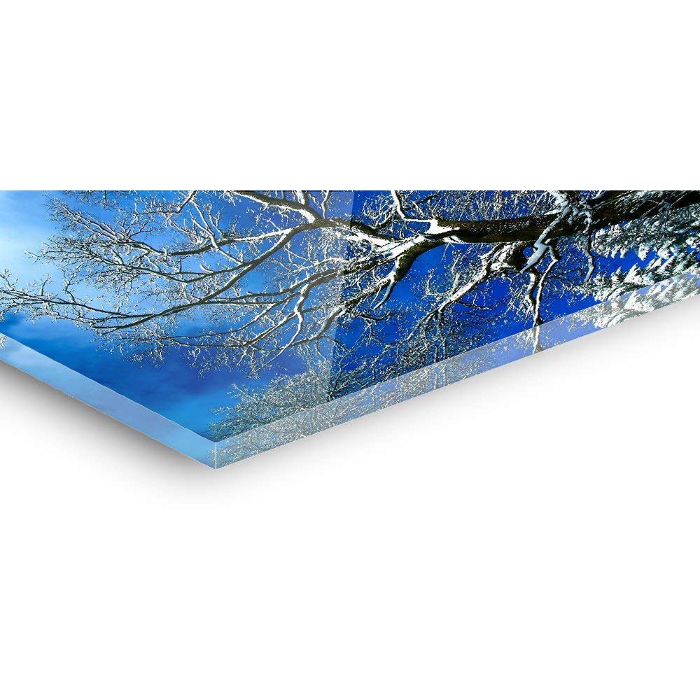 Acrylic glass billeder - Tawny
