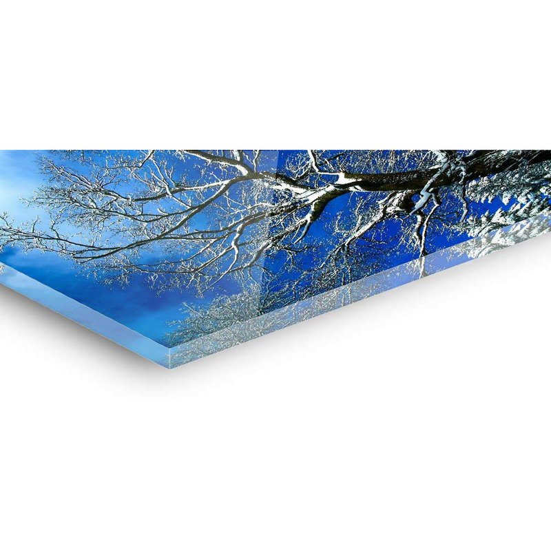 Acrylic glass billeder - Tawny