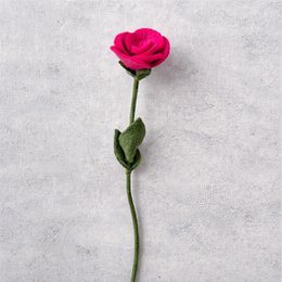 Rose magenta