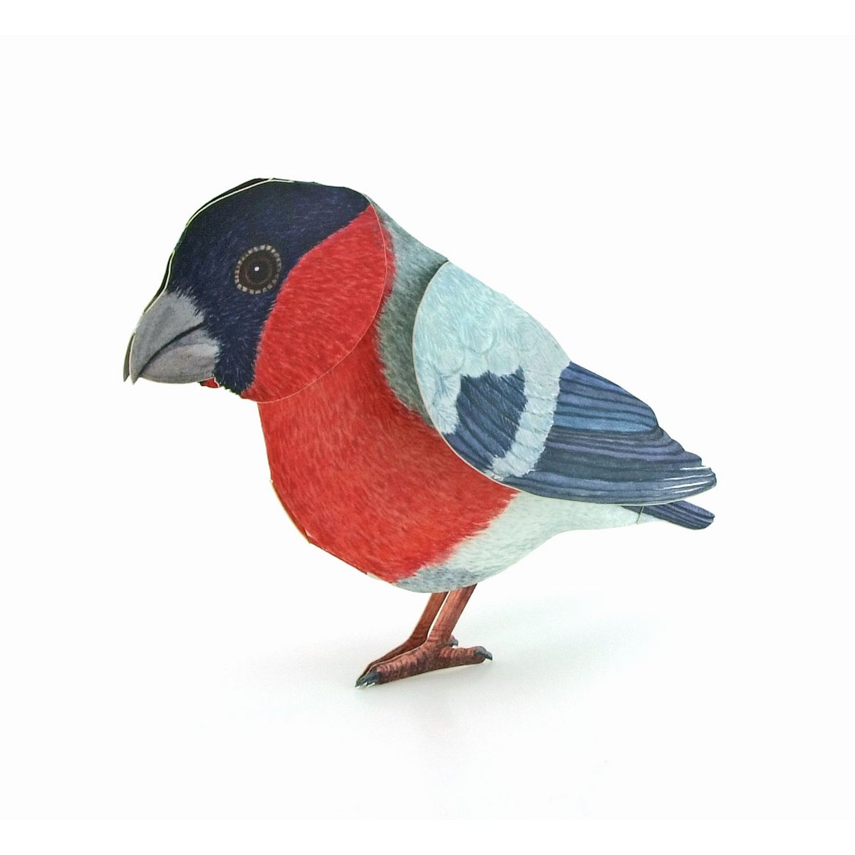 Carte des animaux en 3D Bouvreuil