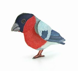 Carte des animaux en 3D Bouvreuil