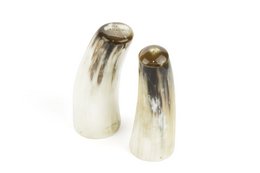 Grande salière et poivrière en corne blonde
