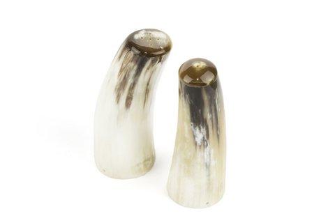 Big salt and pepper shaker in blond horn
