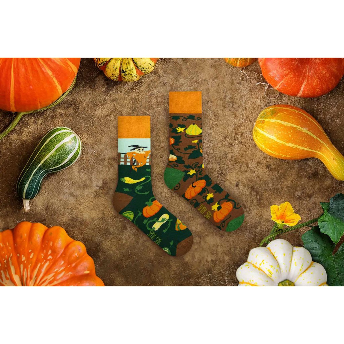 Pumpkins socks | Autumn socks with scarecrow - casual mismatched socks