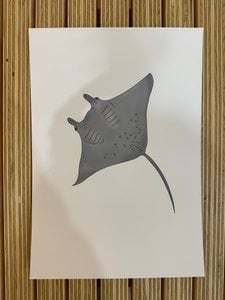 Poster mit Meerestieren